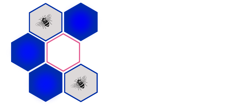 Deborah Wing Consulting and Coaching, LLC
